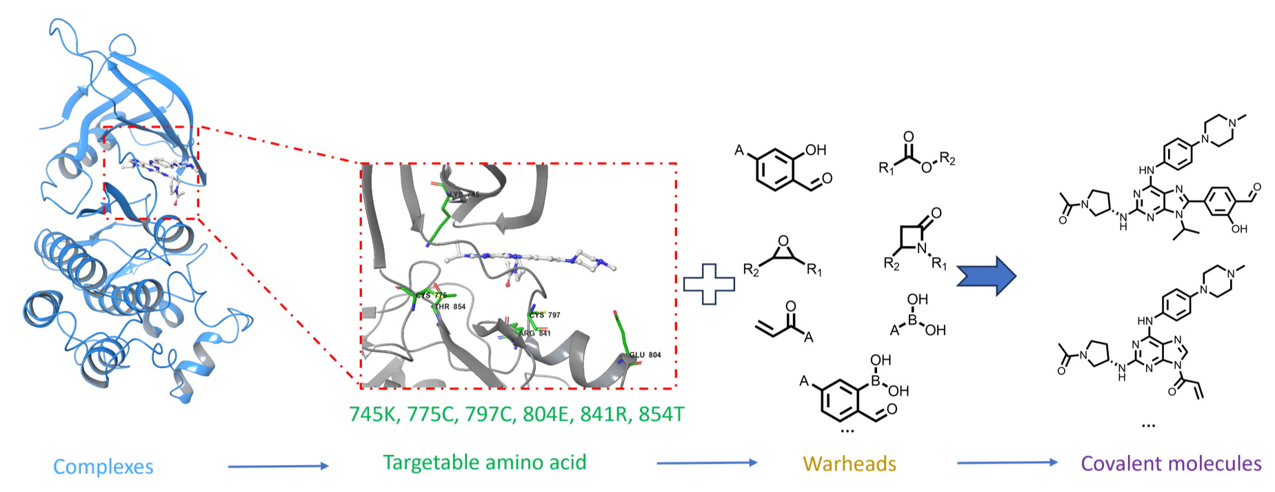 Covalent Molecule Design