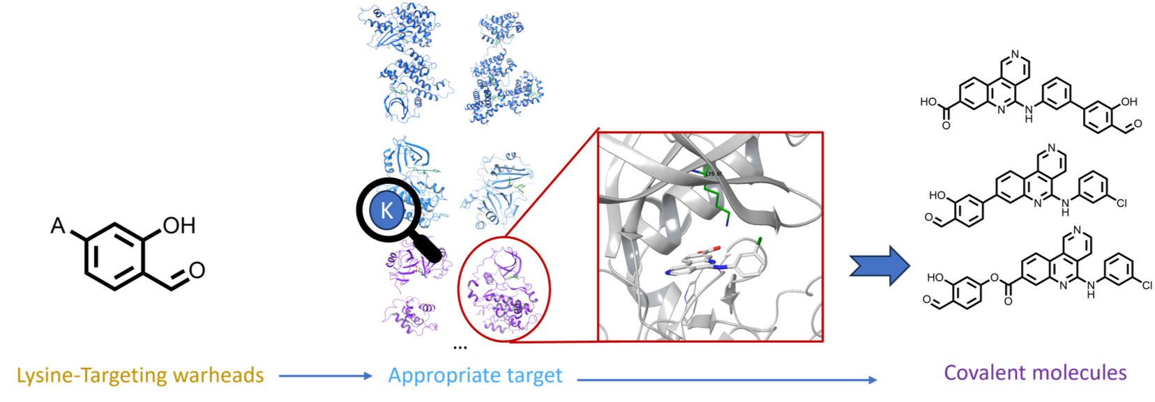 Covalent Warhead Application